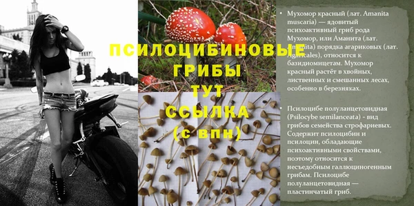 соль ск Верхнеуральск