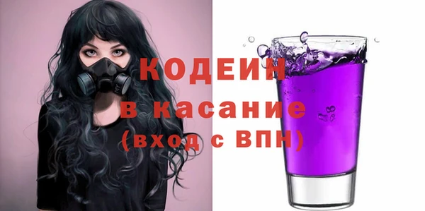 стаф Верея