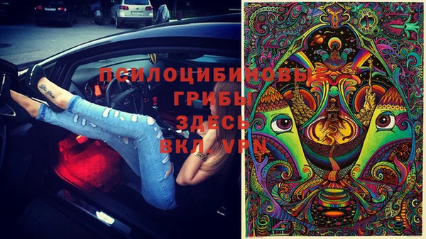 гашик Верхний Тагил