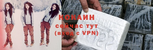 стаф Верея