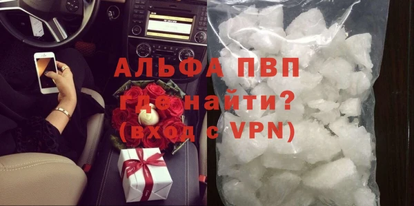 стаф Верея