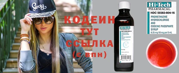 стаф Верея